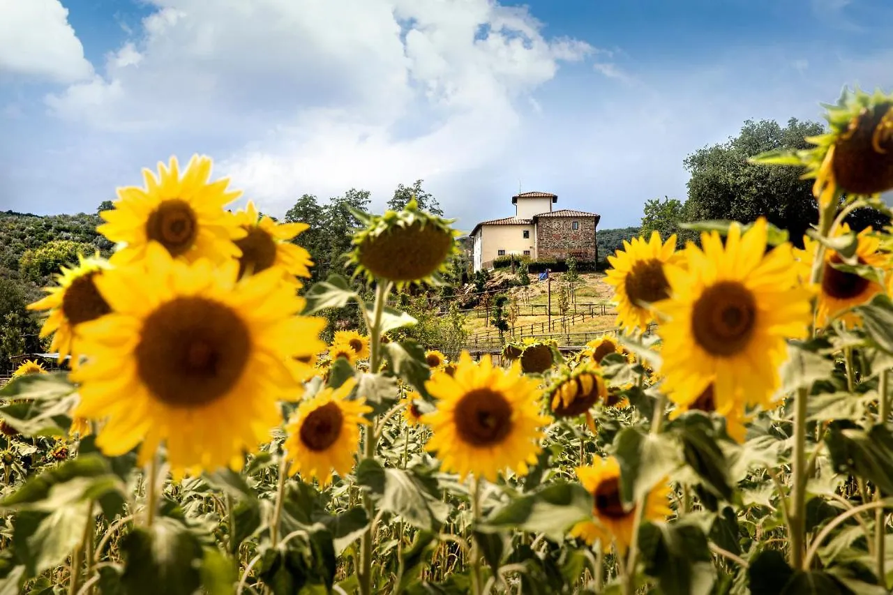 Agriturismo Fattoria La Palagina Villa Figline Valdarno Alloggio per agriturismo