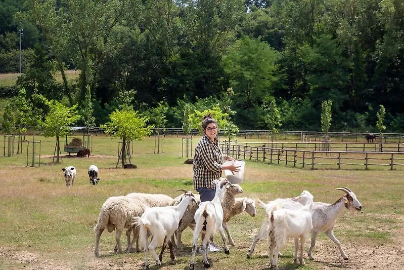 Agriturismo Fattoria La Palagina Villa Figline Valdarno Italia