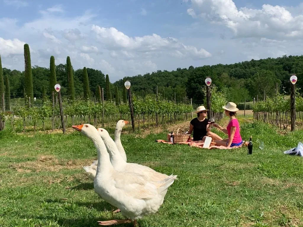 Agriturismo Fattoria La Palagina Villa Figline Valdarno Alloggio per agriturismo