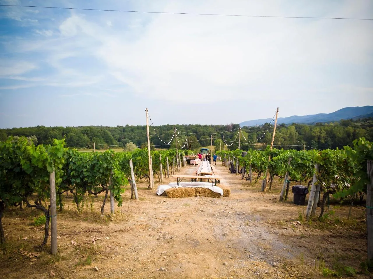 Agriturismo Fattoria La Palagina Villa Figline Valdarno