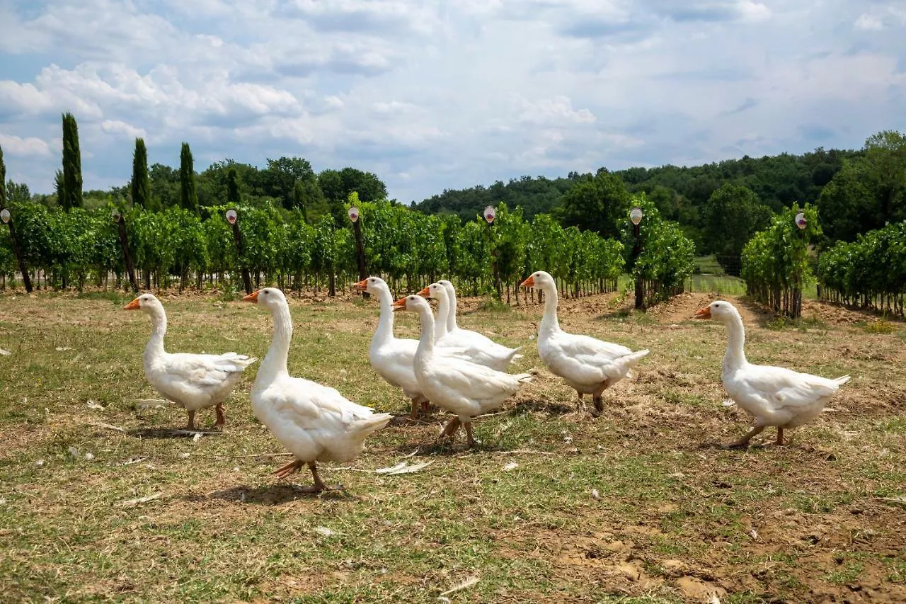 Agriturismo Fattoria La Palagina Villa Figline Valdarno 0*,