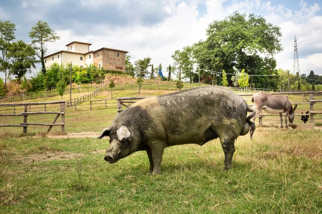 Agriturismo Fattoria La Palagina Villa Figline Valdarno Alloggio per agriturismo